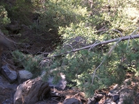 rrente Quarantore-20110911 049
